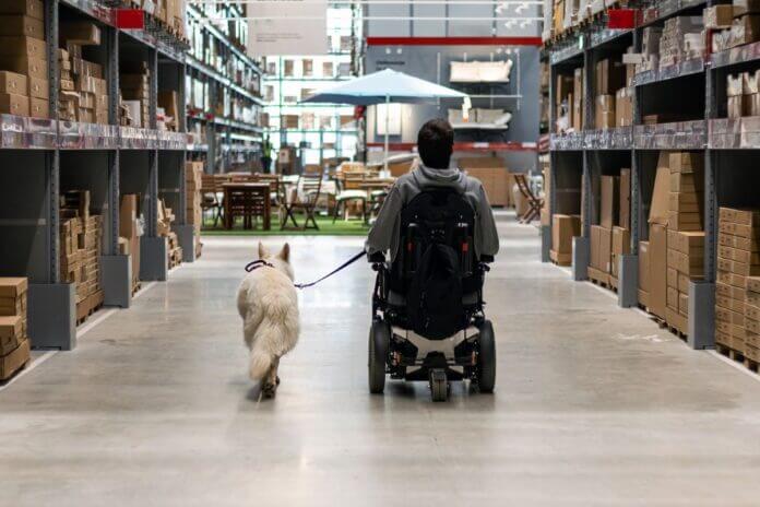 Gibalno ovirana oseba na vozičku in pes pomočnik.