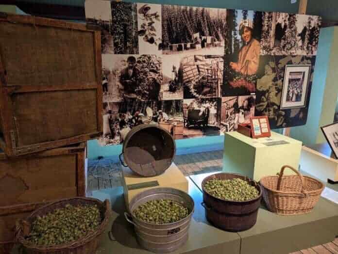 Muzejska zbirka škafov z obranim hmeljem